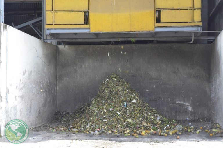 Thu gom vận chuyển xử lý rác thải